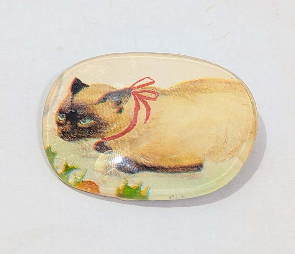 Siamese Cat Pin Handmade Decoupage Brooch Gold Tone Eyeglass Lens Vintage